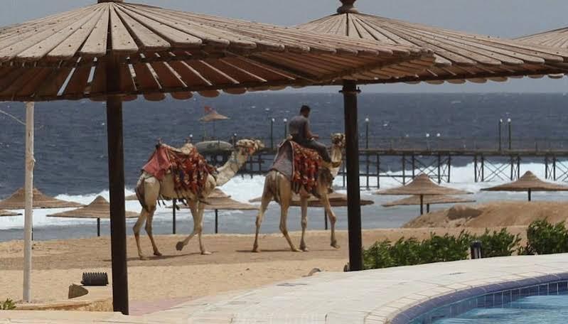 Life Resort Coral Hills El Qoseir Eksteriør billede